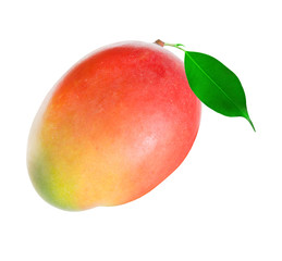Mango isolated on white