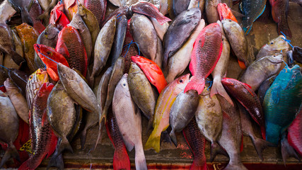 Raw fish at a tropical fishmonger, Seychelles - obrazy, fototapety, plakaty