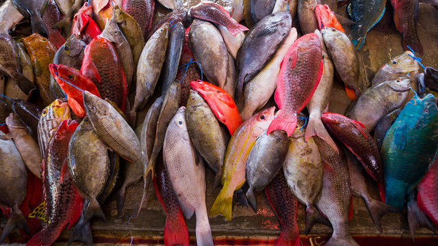 Raw fish at a tropical fishmonger, Seychelles