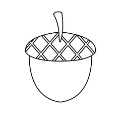 acorn nuts nature fruit natural image vector illustration