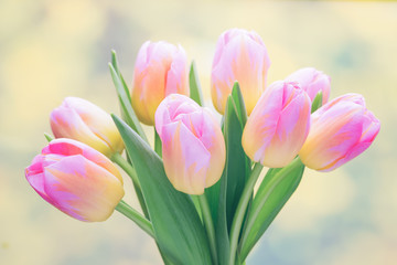 Spring flowers. Tulip bouquet on the bokeh background.
