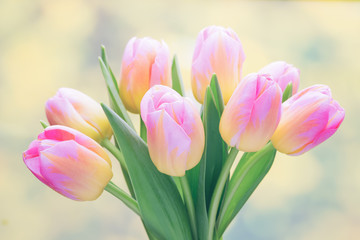 Naklejka premium Spring flowers. Tulip bouquet on the bokeh background.