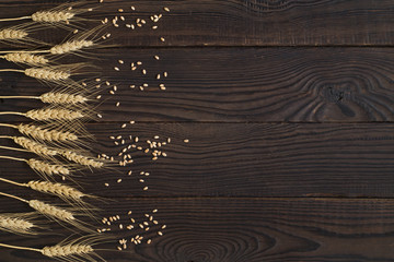 Wheat ears and grains on a dark wooden surface