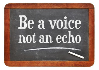 Be a voice, not an echo advice