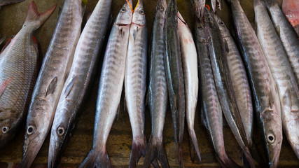 Raw fish at a tropical fishmonger, Seychelles