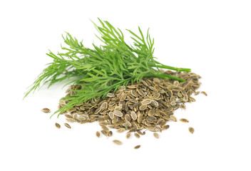 Heap dill seed with fresh dill isolated on white background. Close-up