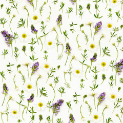 Fototapety  Wild flowers background