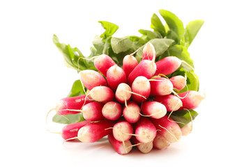 radish isolated on white background