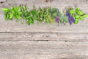 Fresh herbs basil rosemary sage thyme mint dill © LiliGraphie