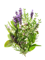 Fresh herbs spices rosemary thyme sage mint basil lavender