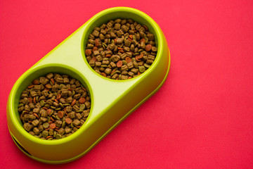 Green bowl full of multicolored dog food