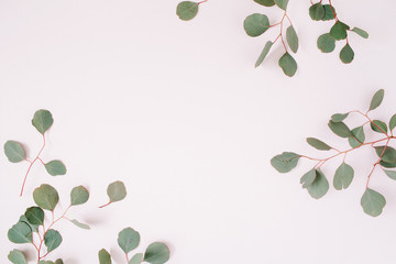 Beautiful eucalyptus branches frame on pale pastel pink background. Flat lay, top view. Lifestyle composition.