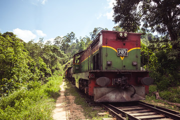 Train rumbles through the forests and highlands around Ella, Sri Lanka.