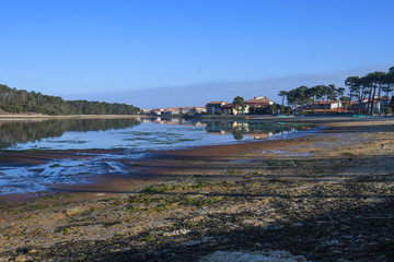 Low tide on the lake of Vieux Boucau, in the Landes 