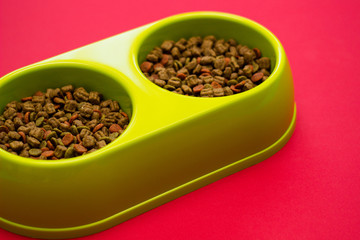 Green bowl full of multicolored dog food