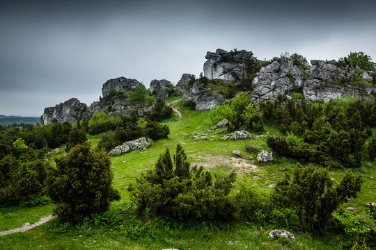 Limestone rocks in nature reserve mountain Zborow in Jura Krakowsko-Czestochowskiej, Poland