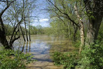 Fototapeta na wymiar Flood in spring