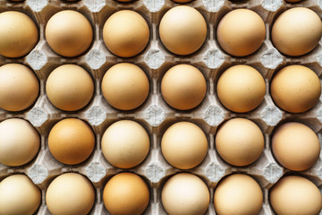 Raw chicken eggs in egg box, top view, eggs background
