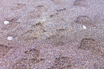 Fototapeta na wymiar Car Marks in the Sand Closeup