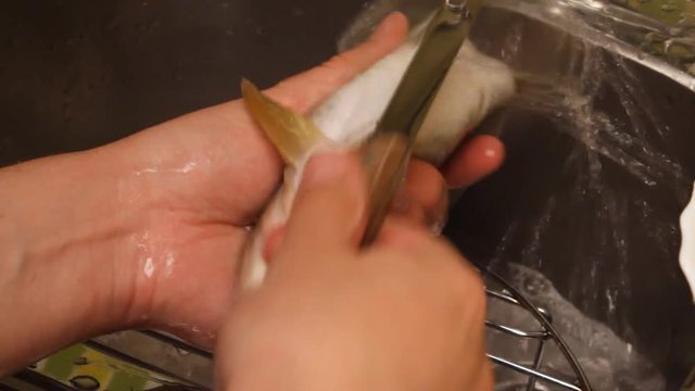 Washing and cleaning of fish.