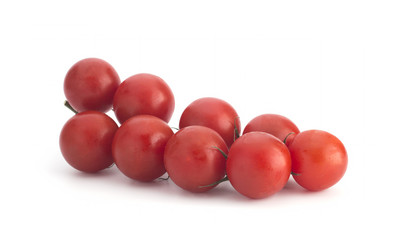 Cherry tomatoes on a branch on a white background