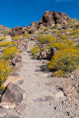 Dirt Trail Climbs Up Stairs in Desert