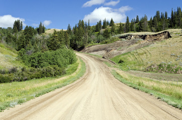 Fototapeta na wymiar Dusty road leading into Cypress Hills Provincial Park, in southern Alberta.