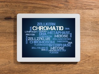 Chromatid