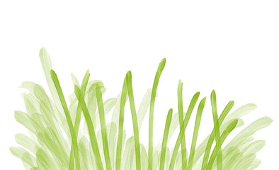Colorful cherry drawn bright spring grass for greeting card or advertisement on the white background, isolated cartoon illustration painted by oil color, high quality