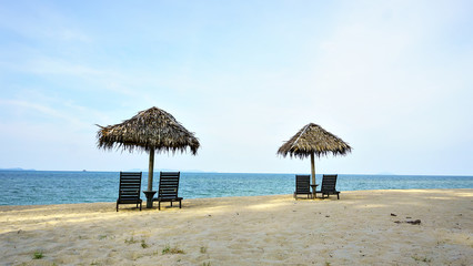 view of trees on the beach during the day