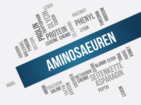Aminos&auml;uren