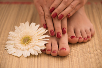 Obraz na płótnie Canvas female feet and hands at spa salon