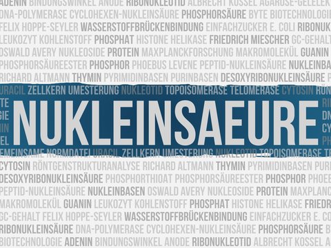 Nukleins&auml;ure