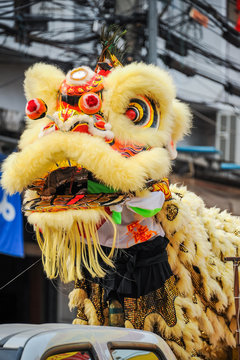 Chinese Lion Mask
