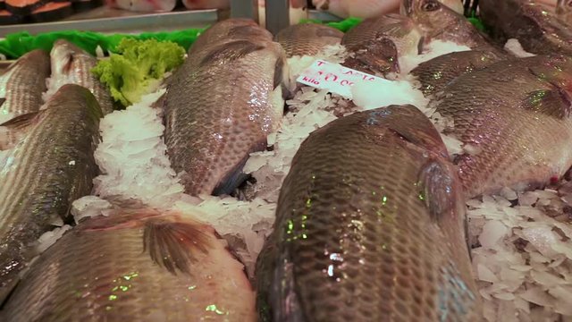 Camera Pans Right To Left, Closeup Of Fresh Fish On Ice In Market Display, Amsterdam, Netherlands