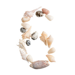 Obraz premium various sea shells number 6 on isolated white background