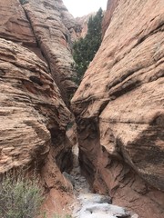Pathway Between the Rocks
