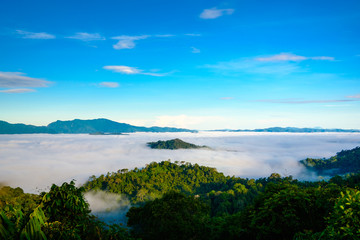 Fototapeta na wymiar The fog at Khao Phanoen Thung, Kaeng Krachan National Park in Thailand