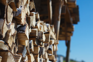 Fototapeta na wymiar Birch firewood stacked in the woodpile.