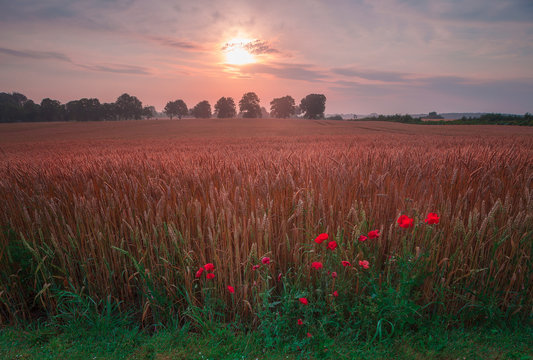 Slagelse in Demark, Scandinavia