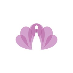 Pink peacock vector illustration