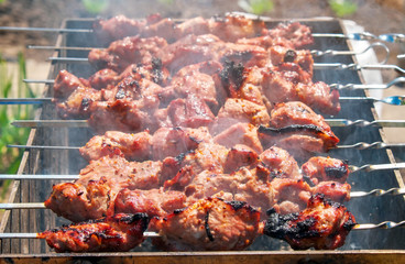 Shish kebab is baked over a fire with smoke. Camping and delicious food