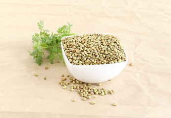 Healthy food coriander seeds in a bowl and in the background are coriander leaves.