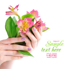 Obraz na płótnie Canvas Hands of a woman with pink manicure on nails and flowers alstroemeria on a white background