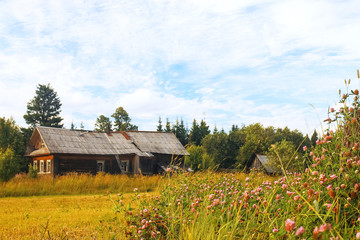 Fototapeta na wymiar Village house in a field