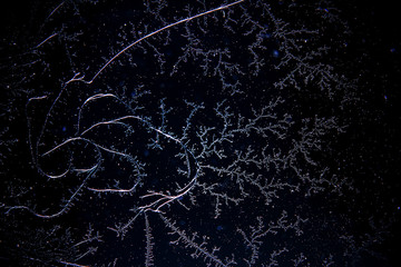 Hoarfrost and beautiful snow patterns