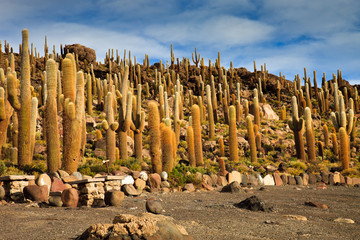 Lagoon Bolivia