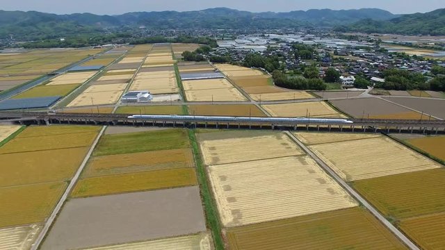 福岡県の筑後平野　麦田の中を走る九州新幹線
