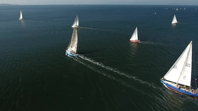 Sailing boats white sails ships yachts regatta championship people team. Vladivostok Russia Bosphorus Primorsky krai. Blue sea ocean. Summer sunny. Aerial flight High altitude above ships 4k