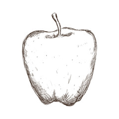 Apple fruit draw icon vector illustration graphic design